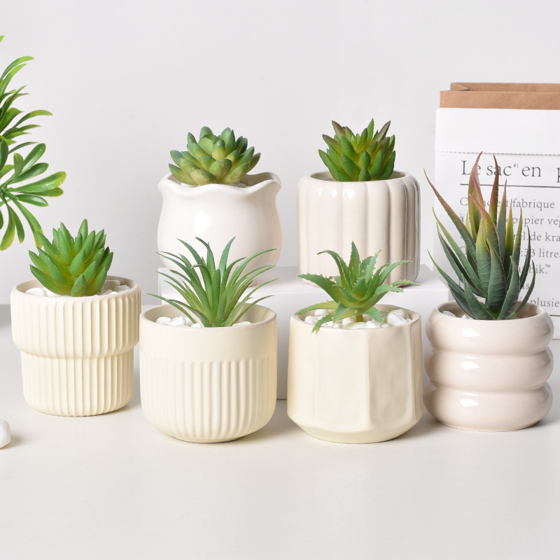 Ceramiczna doniczka samozrasza – Echeveria Succulent recenzja i cena