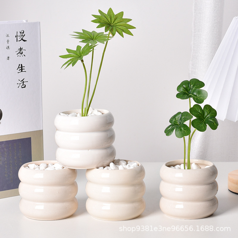 Ceramiczna doniczka samozrasza – Echeveria Succulent recenzja i cena